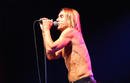 Iggy and the Stooges 