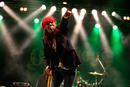 The Quireboys 