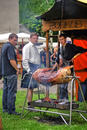 Wave Gotik Treffen () 