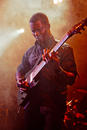 Animals as Leaders 