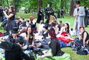 Victorian Picnic 