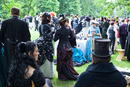 Victorian Picnic 