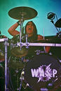 W.A.S.P. 