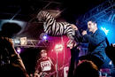 Zebrahead 