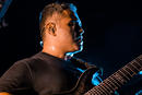 Animals as Leaders 