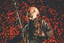 Wardruna 