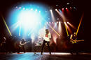 Whitesnake 